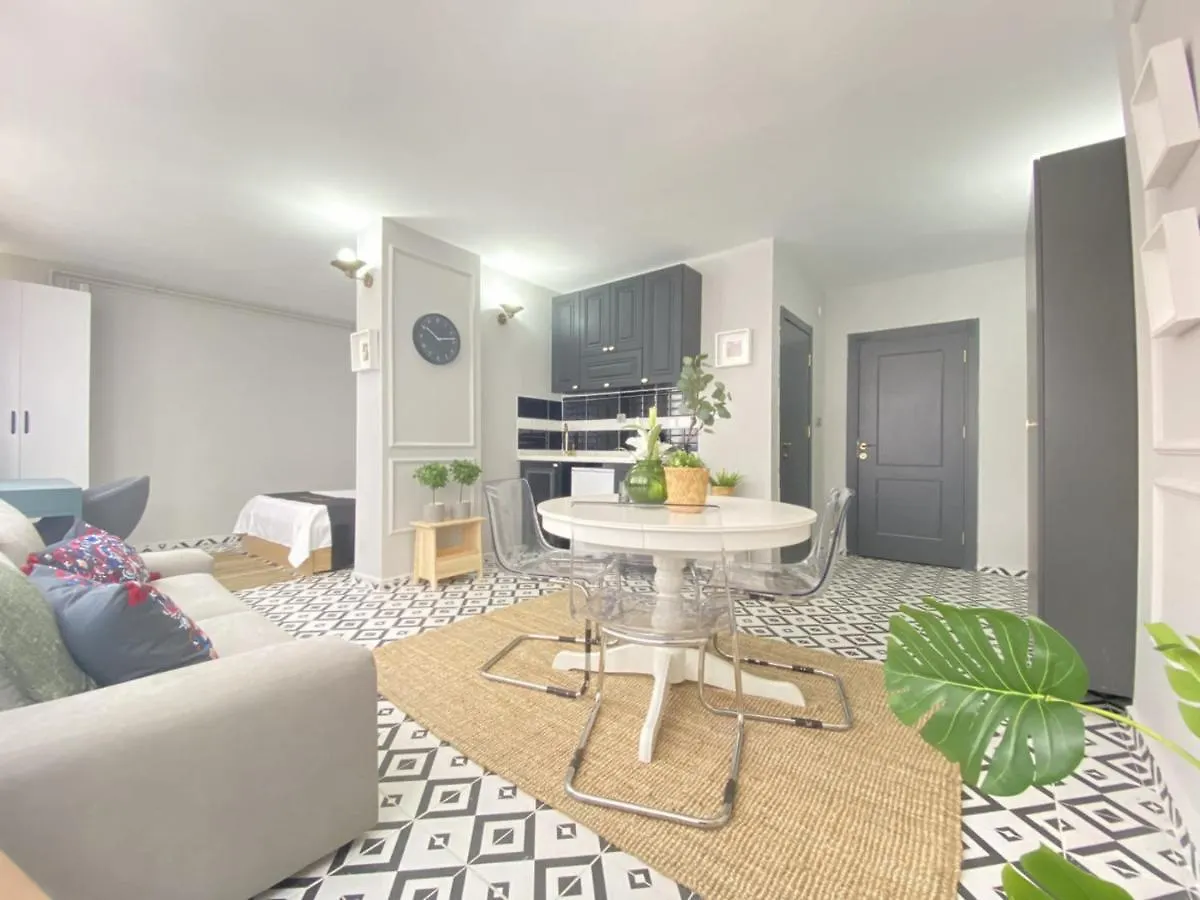 Refreshing And Central Studio Flat In Kabatas Apartment Istanbul