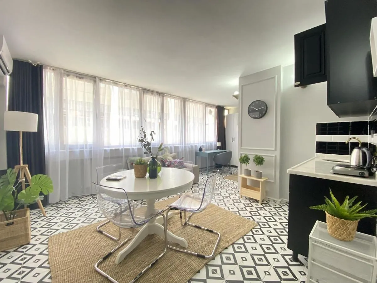 Refreshing And Central Studio Flat In Kabatas Apartment Istanbul